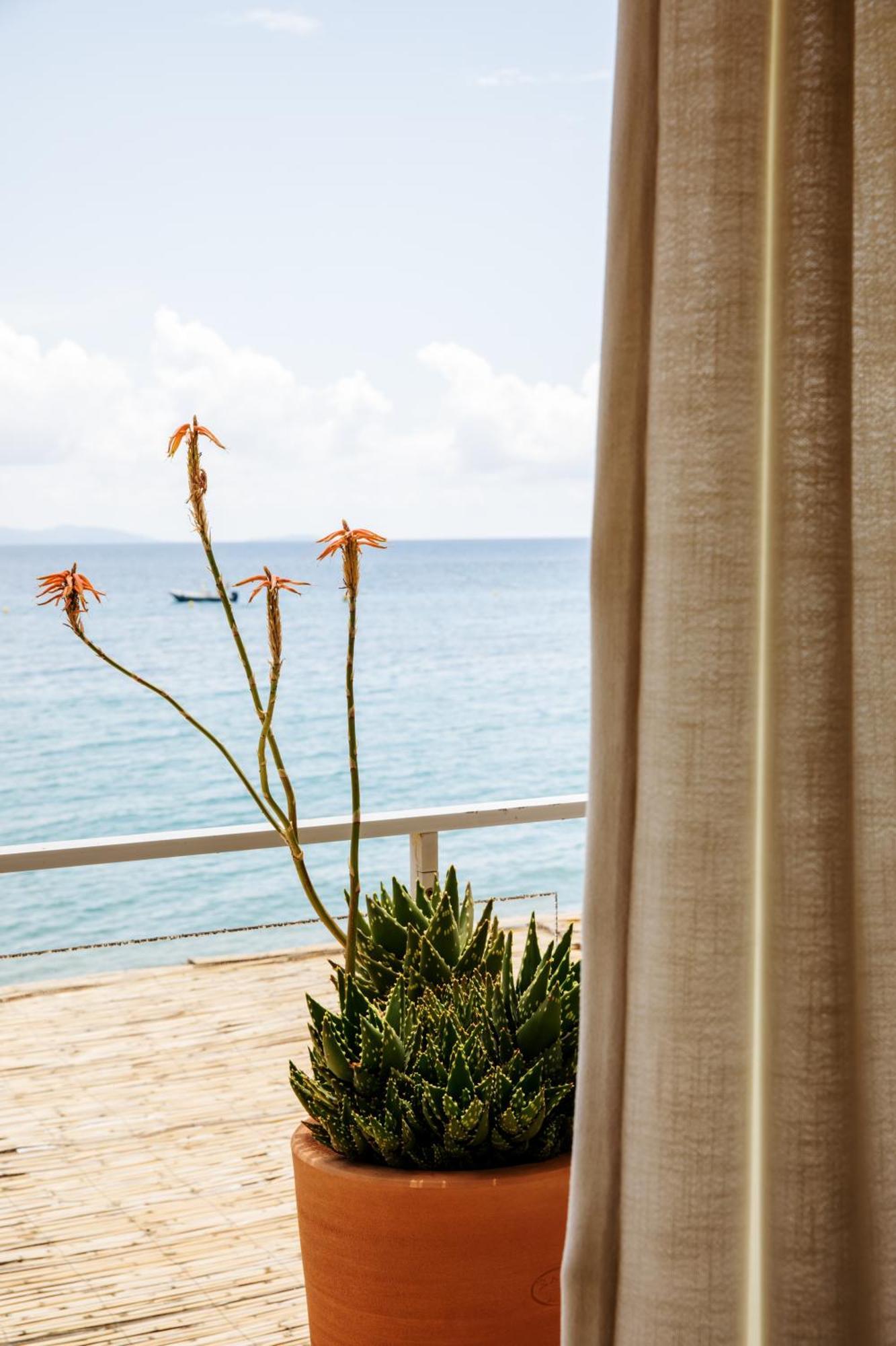 Hotel Le Bailli De Suffren Le Le Rayol-Canadel-sur-Mer Εξωτερικό φωτογραφία